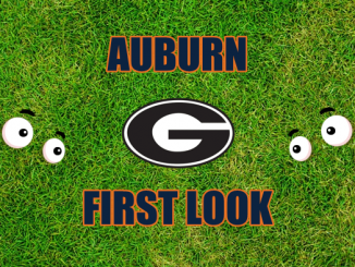 Eyes on Georgia logo