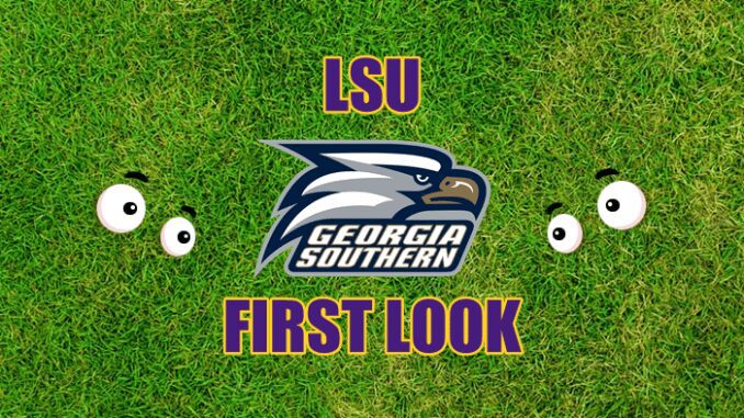 Eyes on Georgia Southern logo