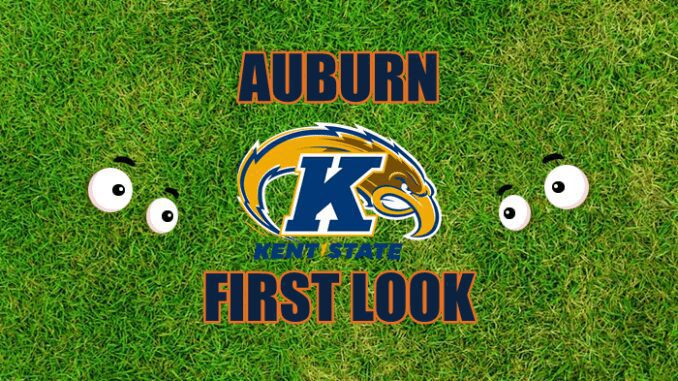 Eyes on Kent State Logo