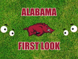 Eyes on Arkansas logo