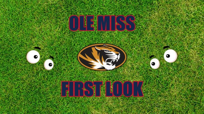 Eyes on Missouri logo