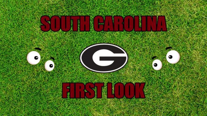 Eyes on Georgia logo