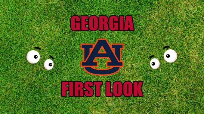 Eyes on Auburn logo