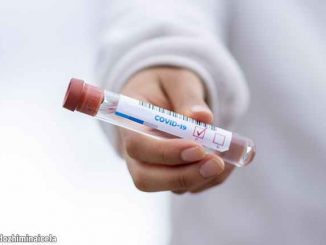 covid-19 test tube