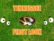 Tennessee-First-look-Missouri