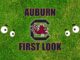 Auburn First look-South Carolina