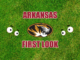 Arkansas football first look Missouri